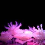 4D Plants Create Immersive Aquatic Experience