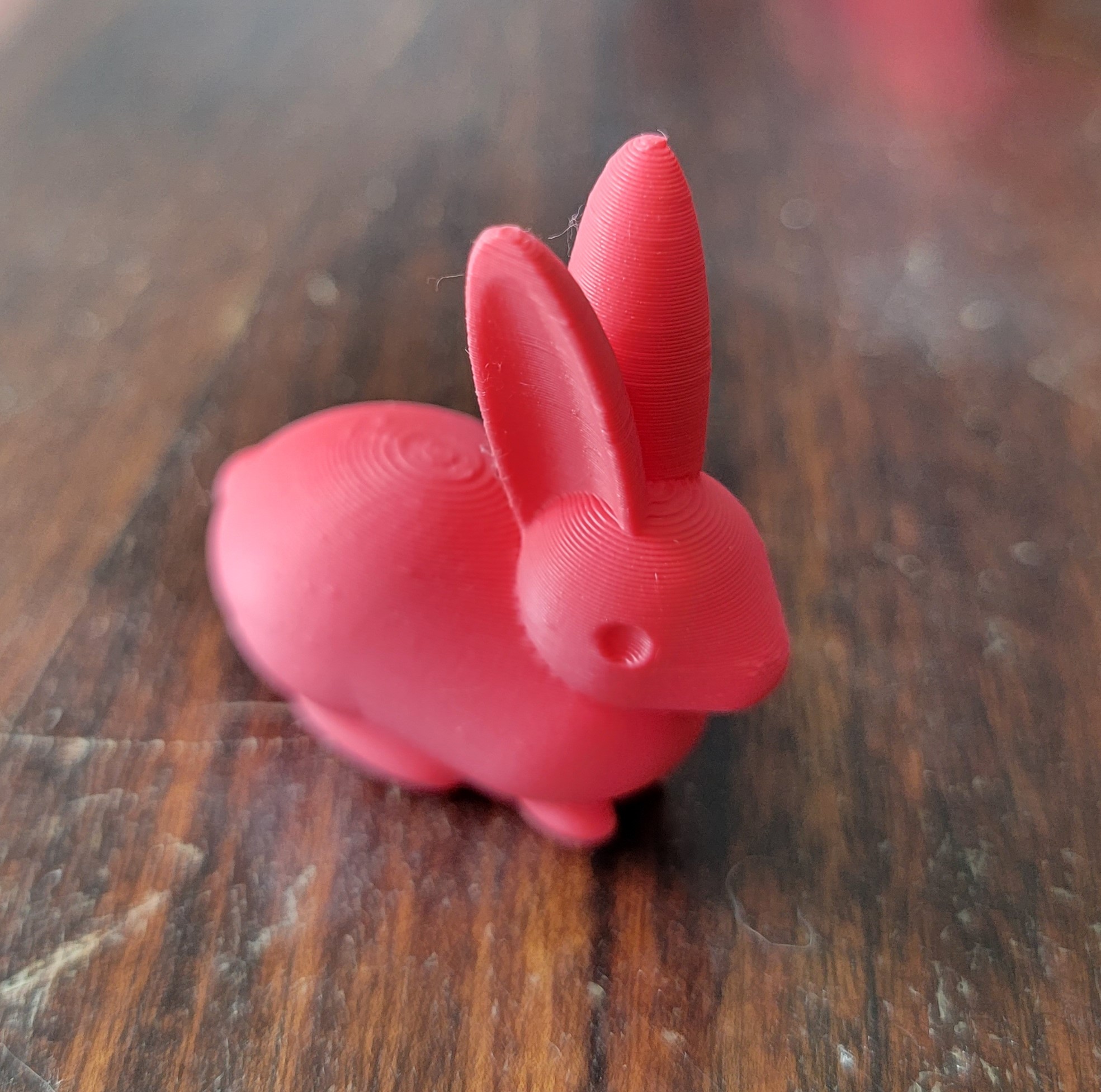 bunny test print